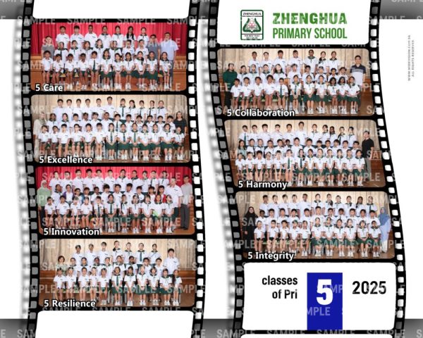 Pri 5 Level Collage (Formal)